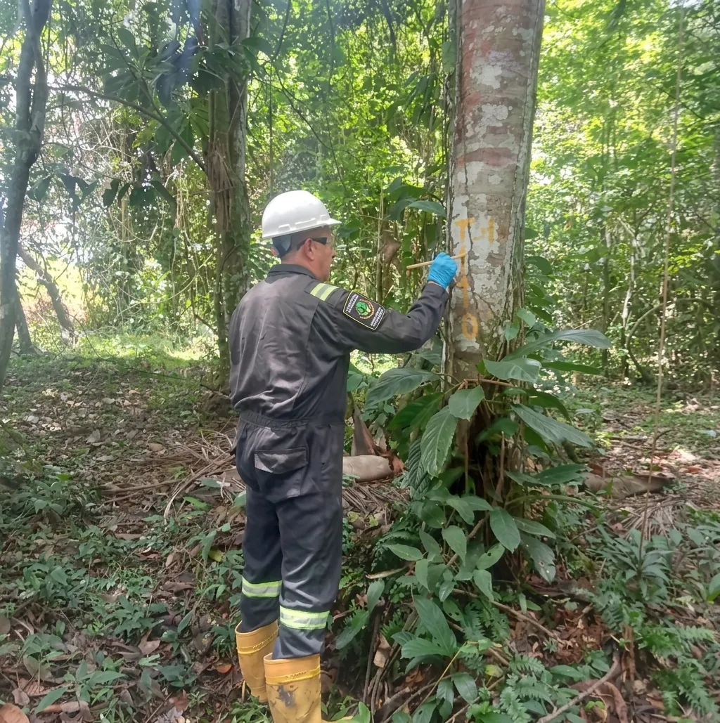 Foto 1 del proyecto Inventario forestal