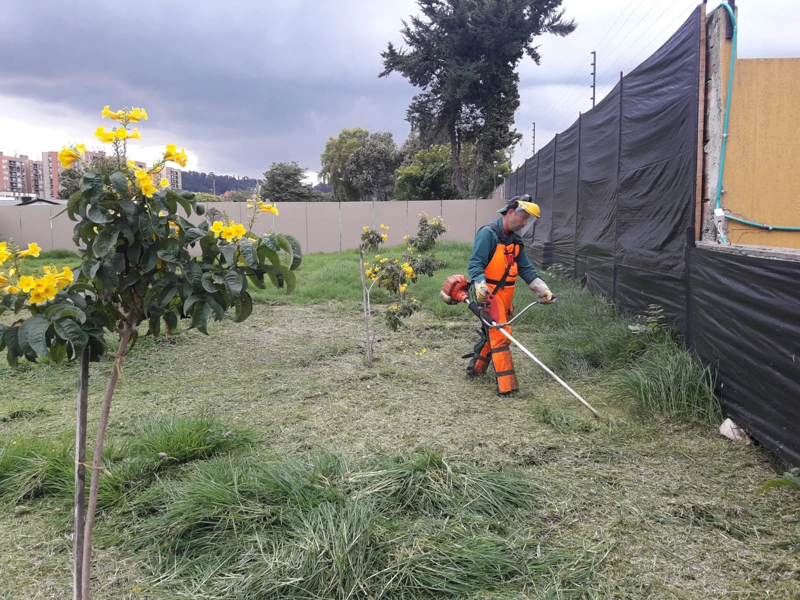Foto 2 del proyecto Corte de césped