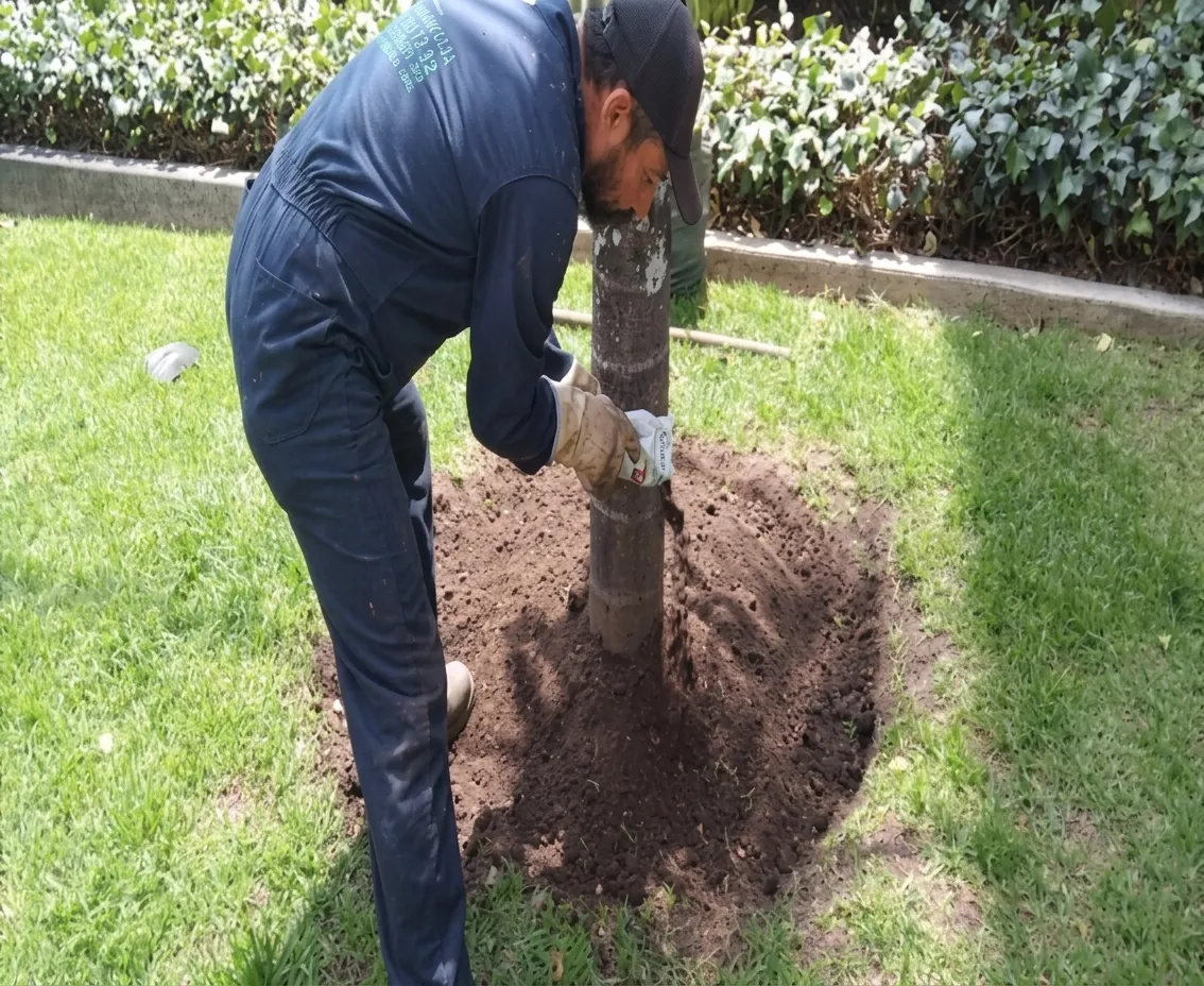 Foto 1 del proyecto Fertilización